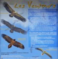/album/a2015-09-vaison-la-romaine/a56-st-may-03-jpg/